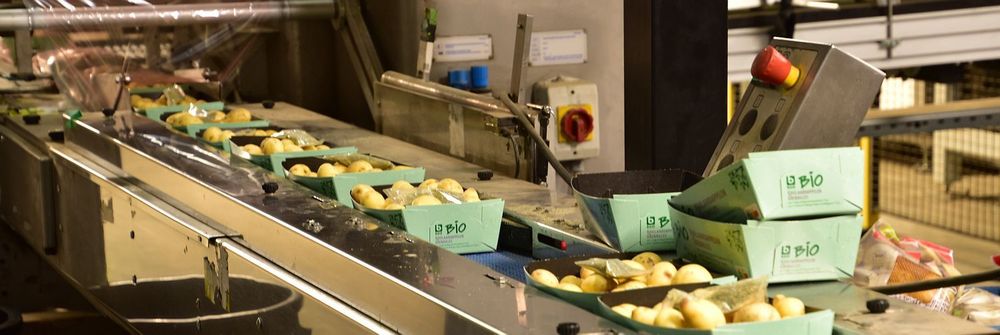 Ook het verpakken neemt De aardappelhoeve voor zijn rekening - (c) VLAM, P. De Laet
