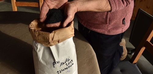 Een zak pikzwart biologisch preizaad bij Akelei - (c) VLAM, P. De Laet