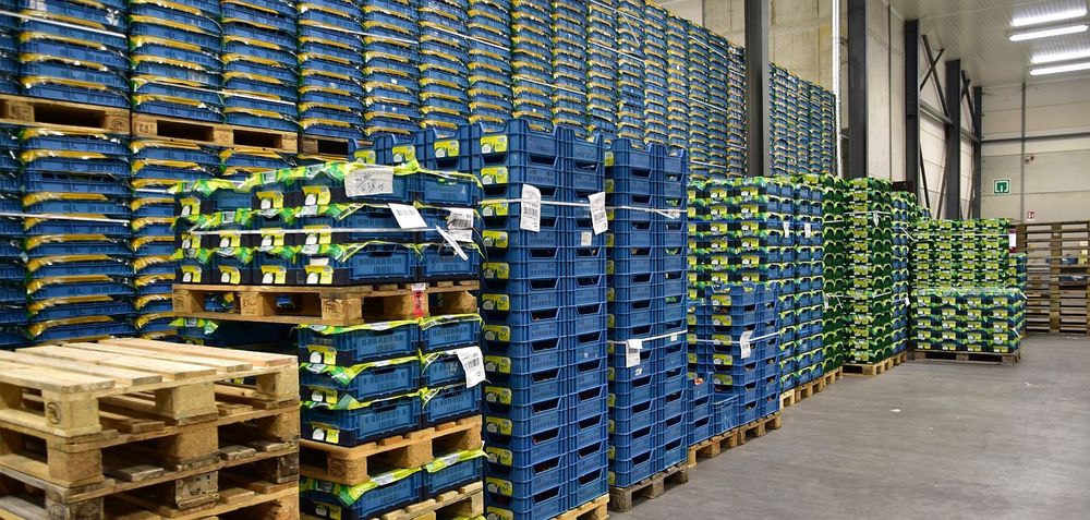 Torenhoge stapels met verse biogroenten - (c) VLAM, P. De Laet