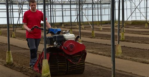 De bodemverzorging is erg belangrijk in bio - (c) VLAM, Patricia De Laet