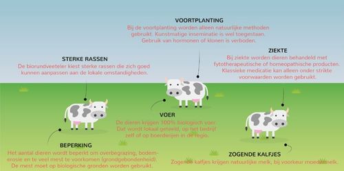 Infografiek (c) VLAM