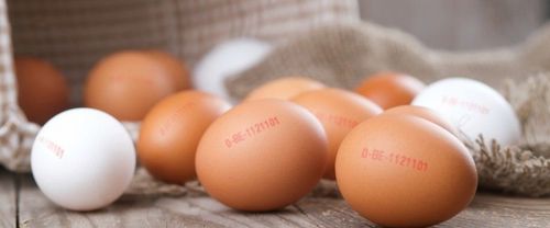 Bio-eieren blijven populair - (c) VLAM