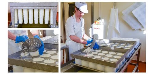 Het scheppen van de kaas  gebeurt bij Karditsel met de hand - (c) VLAM, P. De Laet