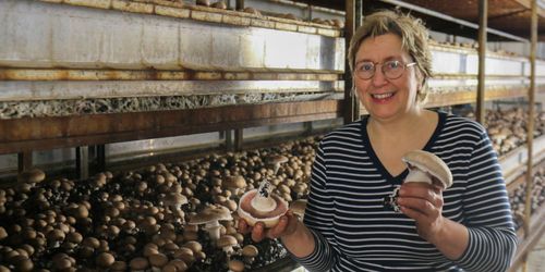 Christine Van Steenkiste met twee grote portobello's in haar handen - (c) Chamrova

----

Sort: 4
