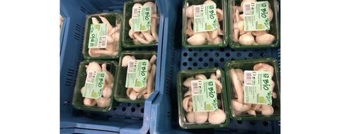 Deze champignons zijn klaar om naar de veiling te gaan - (c) Chamrova

----

Sort: 5