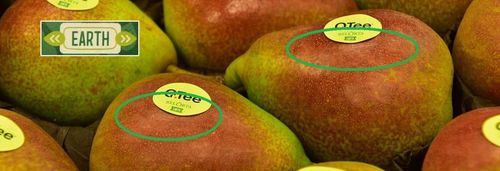 Peren in omschakeling met EARTH-stickers - (c) VLAM, Patricia De Laet