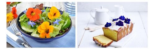 Een salade met Oost-Indische kers en cake met viooltjes - mmm