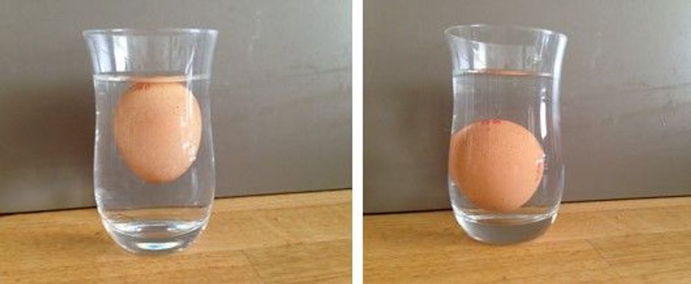 Zo test je of een ei kakelvers is - (c) VLAM