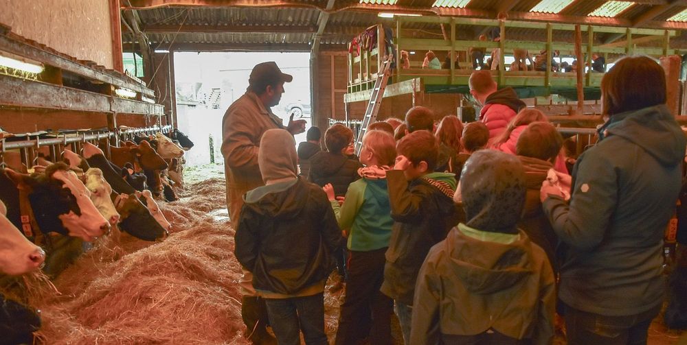 Op ontdekking in de koeienstal van Luc Hollands - (c) VLAM, P. De Laet