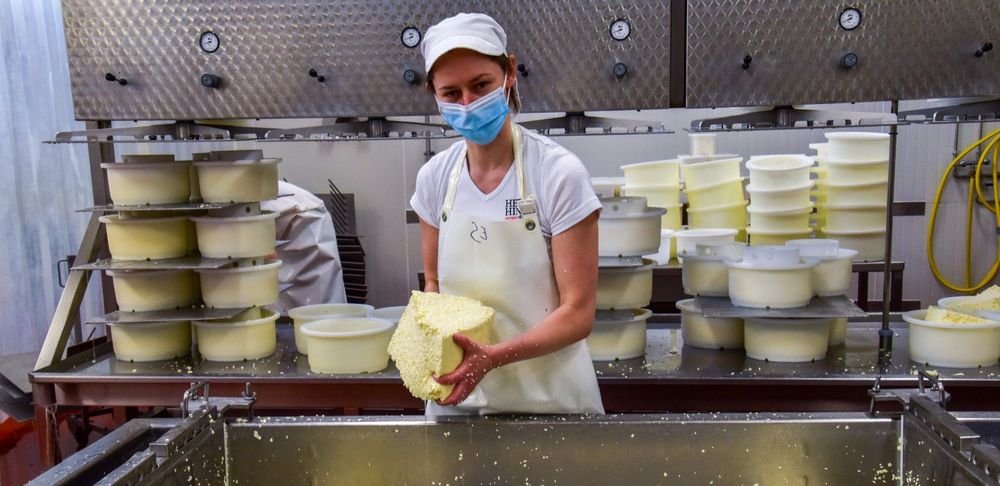 Een vrouw aan het werk bij kaasmakerij Het Hinkelspel - (c) VLAM