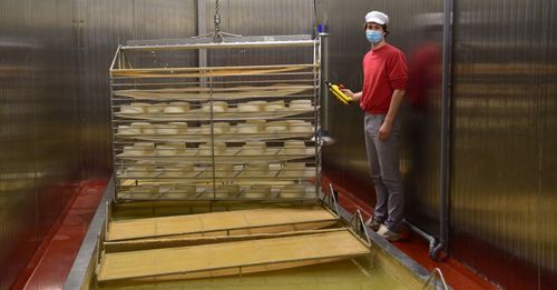 De kazen zijn klaar om in het pekelbad te worden gedompeld - (c) VLAM, Patricia De Laet