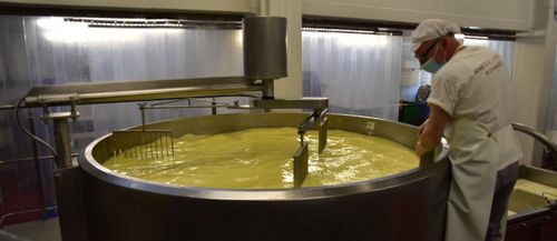 Melkzuur en stremsel worden toegevoegd aan de melk - (c) VLAM, Patricia De Laet