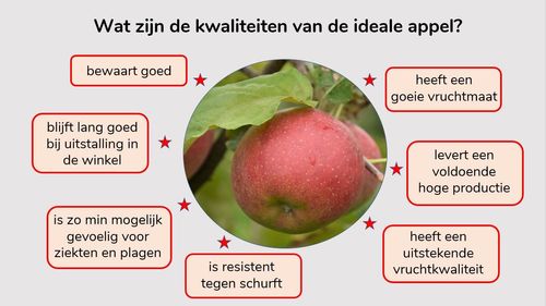 Kwaliteiten van de ideale appel - (c) VLAM