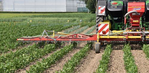 De gps stuurt de tractor steeds over hetzelfde, vaste rijpad - (c) VLAM, P. De Laet