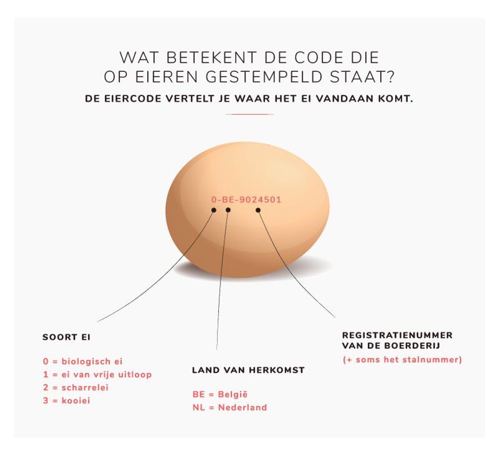 Infografiek (c) VLAM