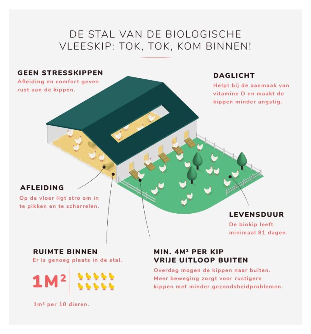 Infografiek (c) VLAM