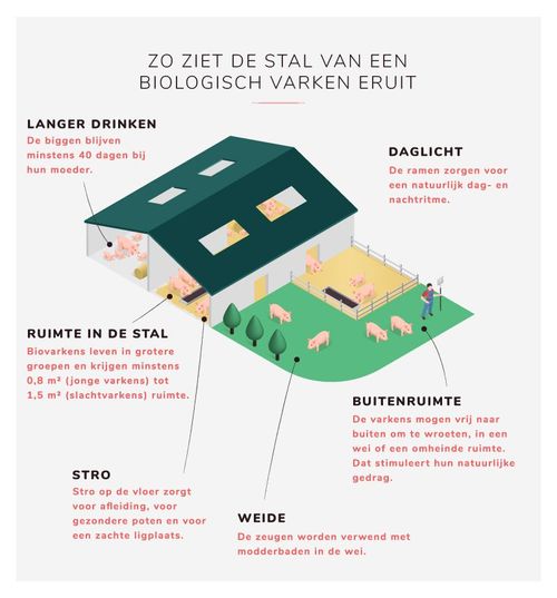 Infografiek (c) VLAM