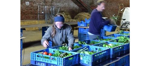 Voedselpaketten vullen bij De Kijfelaar - (c) VLAM, Patricia De Laet