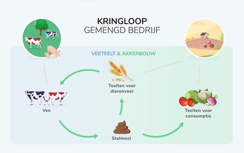 Hoe loopt de kringloop op een gemengd bedrijf? - (c) VLAM