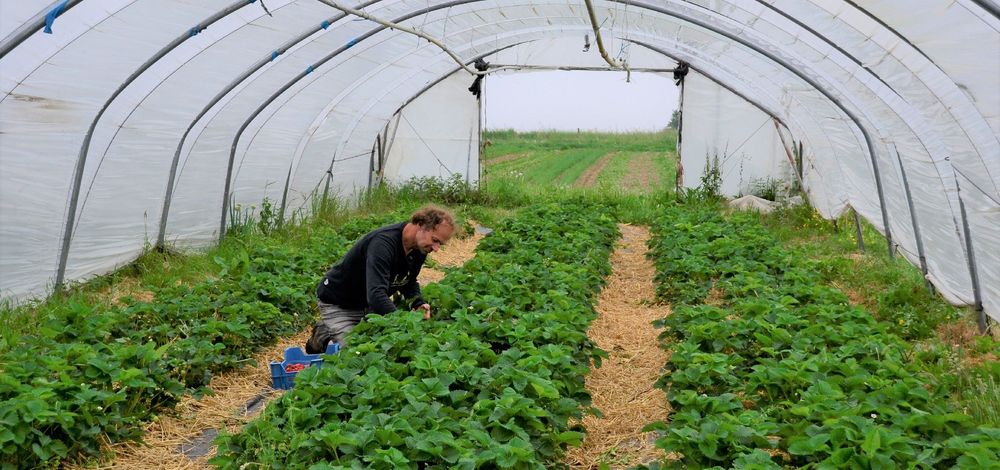 Maarten Van Gool plukt de vruchten van zijn werk op De Levensbron - (c)VLAM