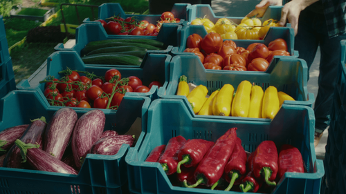 Biogroenten klaar voor verkoop - (c) VLAM, ViaVictor