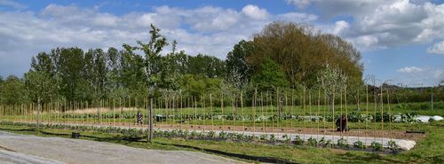 Het wijdse veld van Oogstappel - (c) VLAM, Patricia De Laet