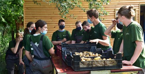 Hoe sorteer je aardappelen? - (c) VLAM, Patricia De Laet