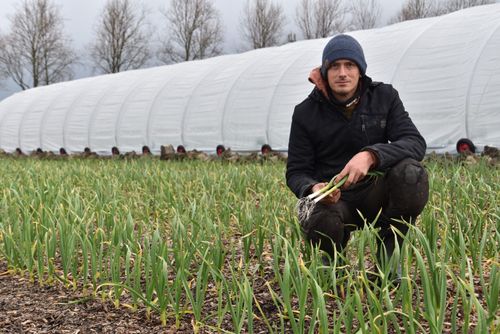 Lieven Devreese op zijn Polderveld - (c) VLAM, P. De Laet
