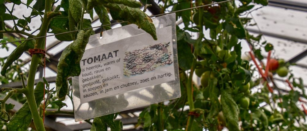 Rawijs zorgt voor leuke teeltinformatie voor de oogstdeelnemers - (c) VLAM, Patricia De Laet