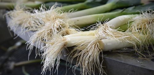 Vers geoogste bioprei - (c) REO Veiling

----

Sort: 4