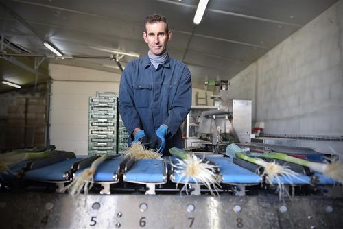 Davy Bovyn aan de sorteermachine - (c) REO Veiling

----

Sort: 5