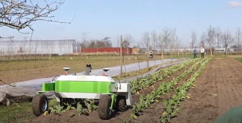 De robot is in staat om zelf netjes door een veld te rijden - (c) ILVO

----

Sort: 5