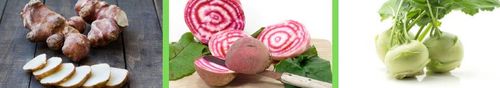Vergeten groenten: aardpeer, Chioggia-biet, koolrabi - (c) VLAM

----

Sort: 2