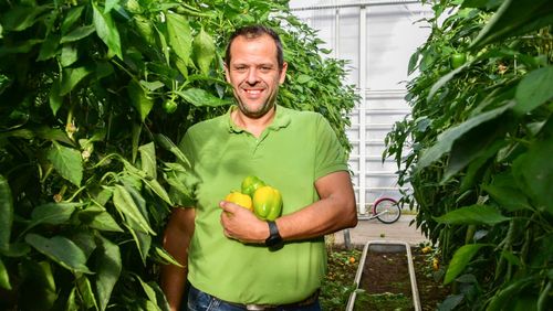 Koen Van Hauteghem tussen de paprika's - (c) VLAM, Patricia De Laet