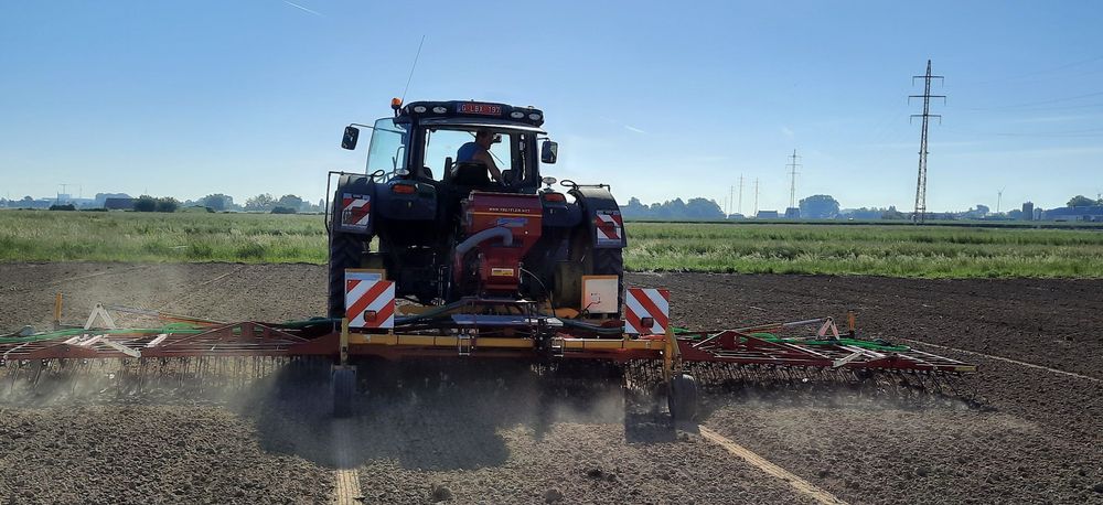 Wiedeg haalt onkruid weg op een vals zaaibed - (c) Inagro