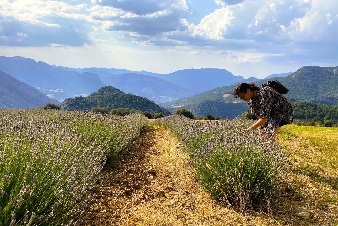 Hoofdafbeelding van de activiteit