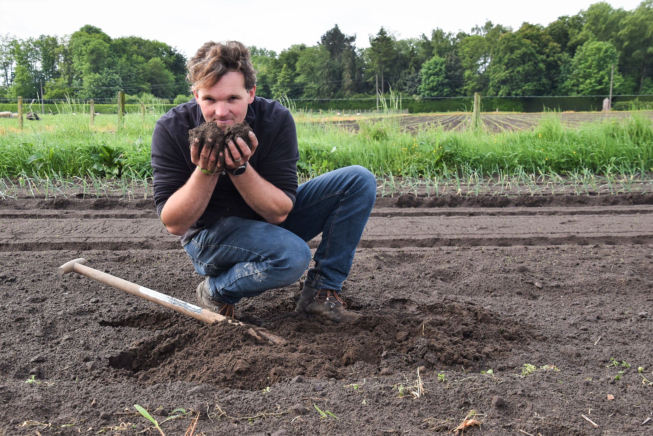 Nico Vandevannet op een zijdezacht veld  - (c) VLAM, P. De Laet