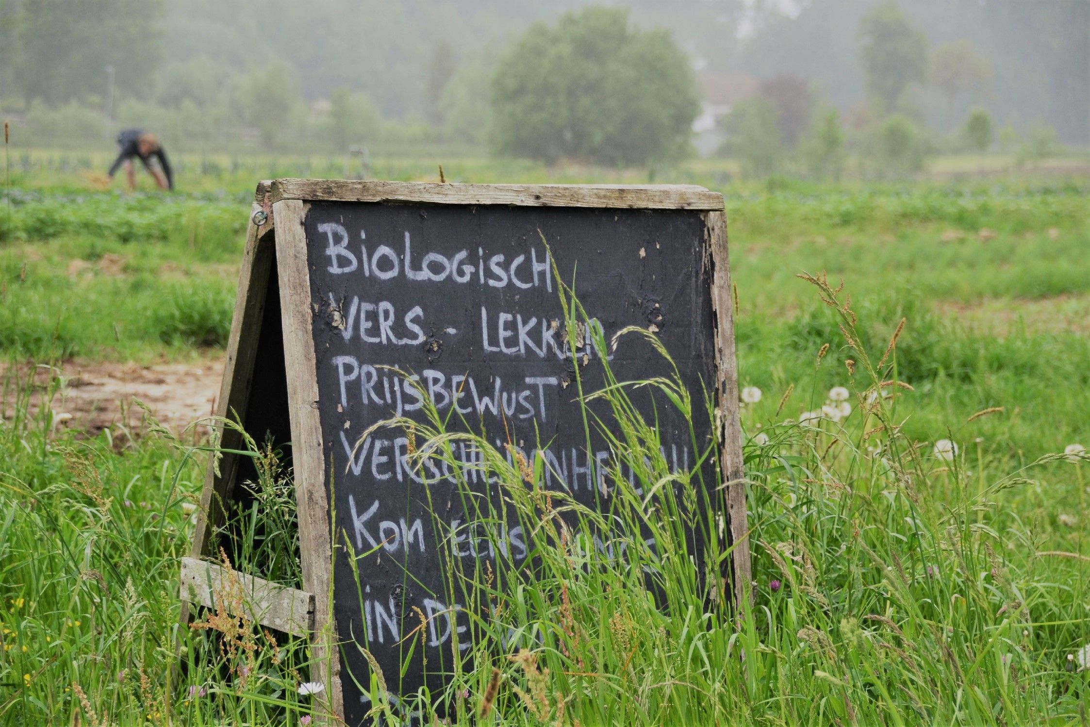 Bio, vers uit het veld bij De Levensbron - (c) VLAM
