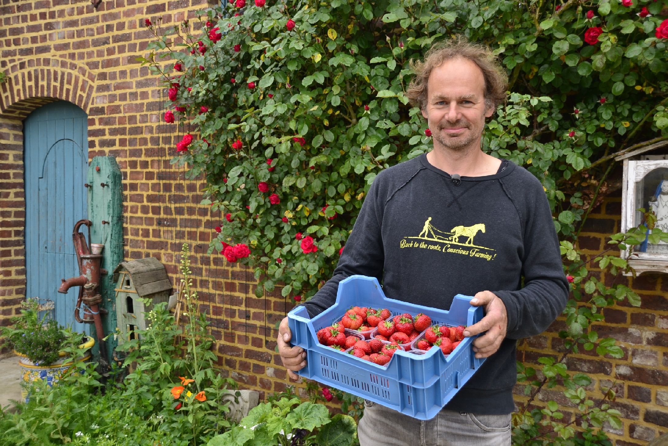 Maarten Van Gool, apetrots op de aardbeien van De Levensbron - (c)VLAM
