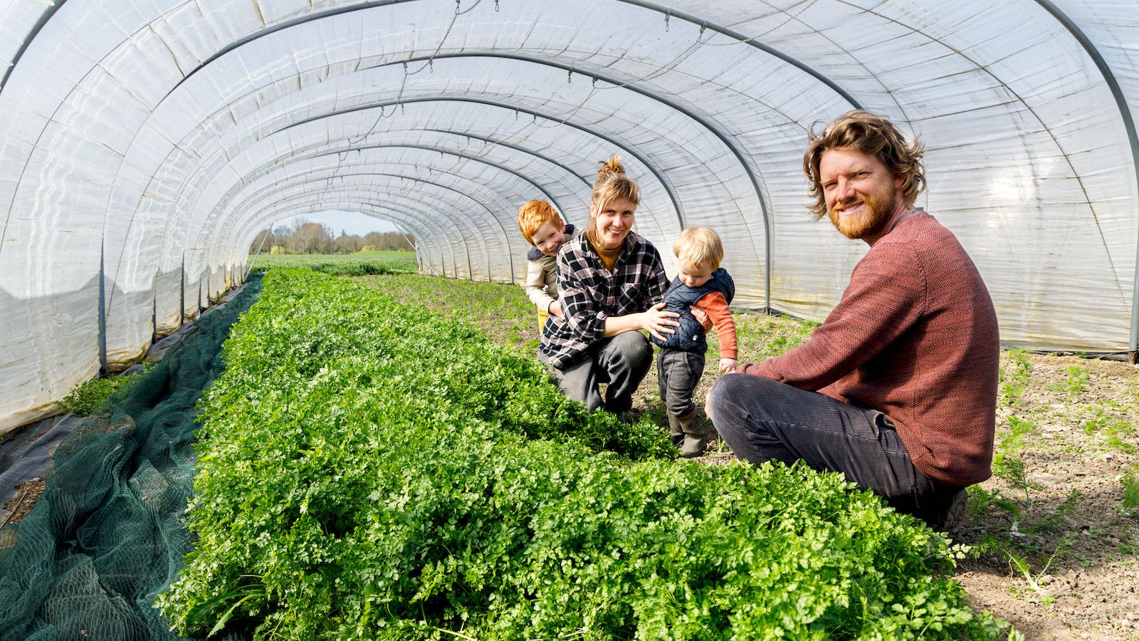 Hoofdafbeelding van het artikel