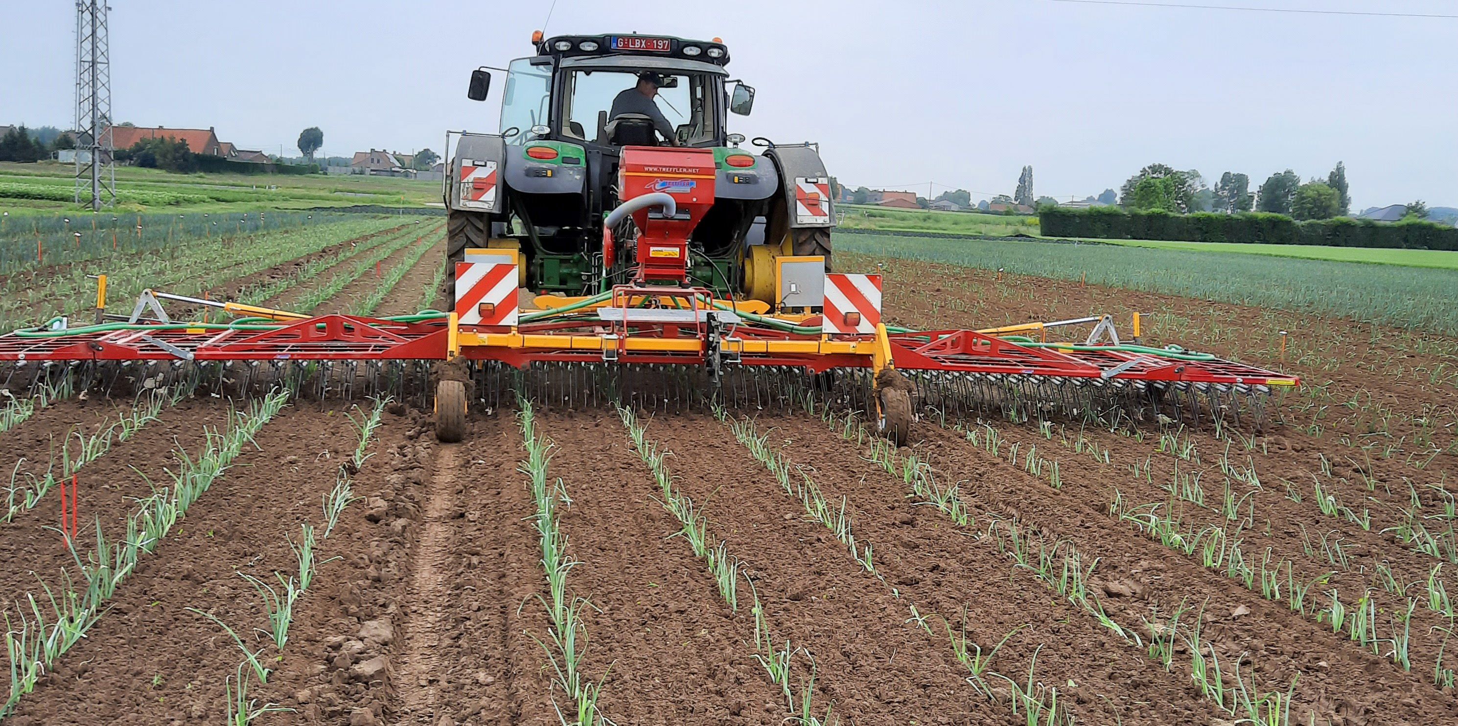 De wiedeg haalt het onkruid weg tussen de preiteelt - (c) Inagro