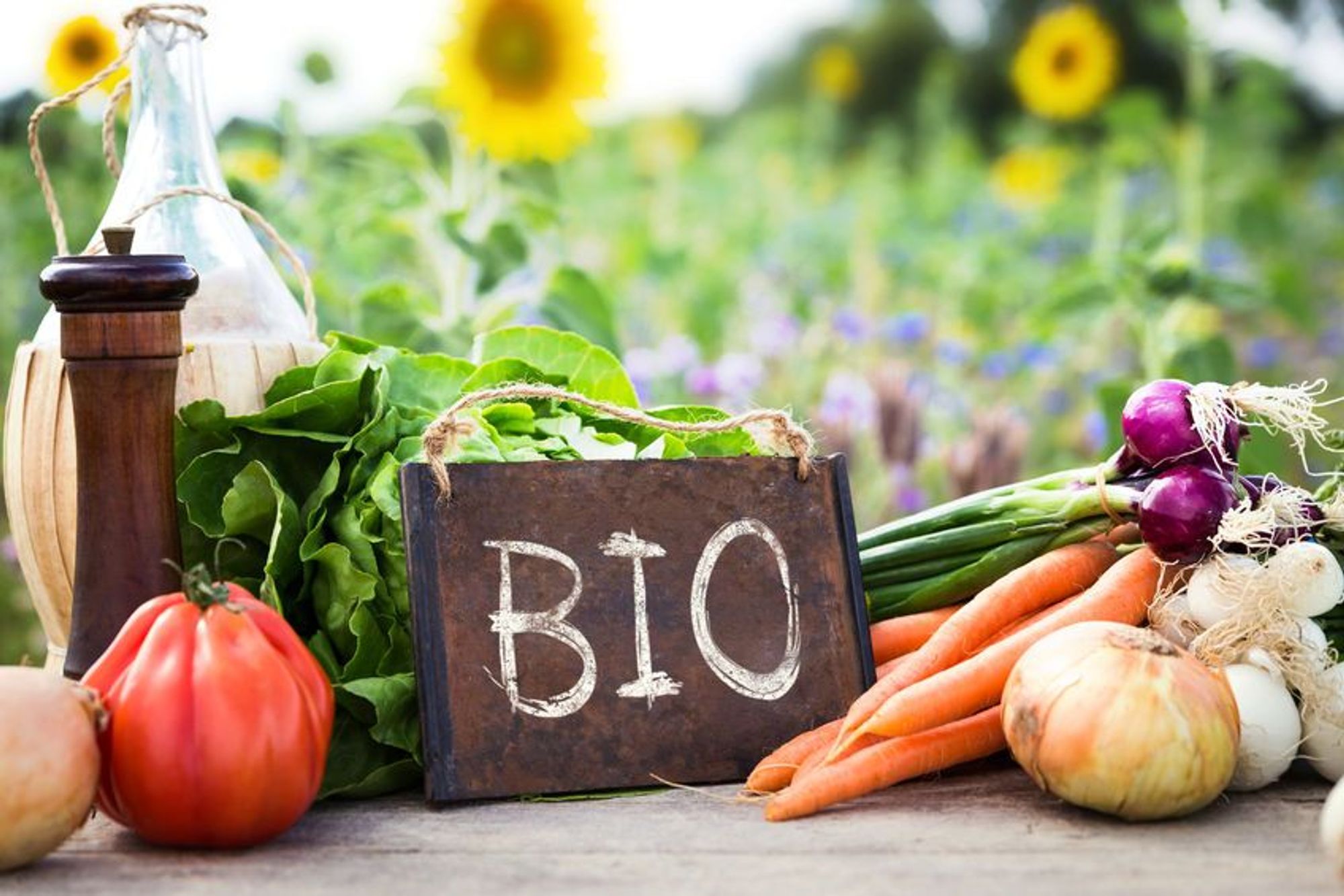 Alles over bio Alles over bio